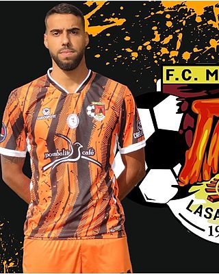 Tiago Jorge Antunes Rogado