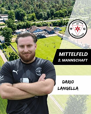 Dario Benito Langella
