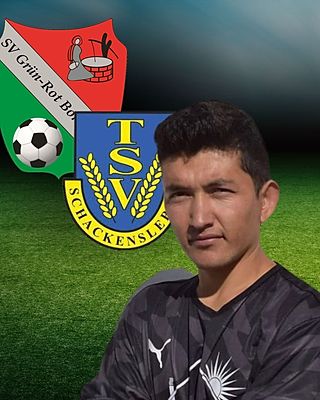 Ali Reza Mohammadi
