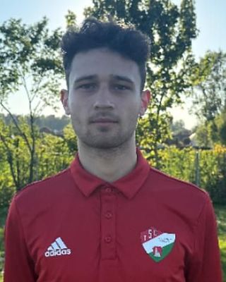 Silviu Boss