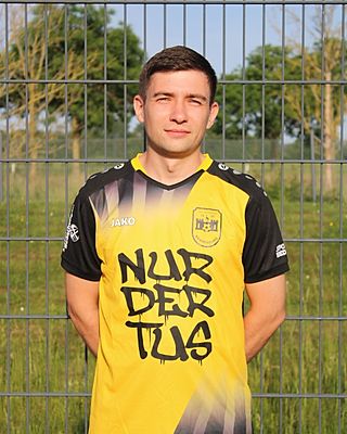 Mykhailo Vinichenko