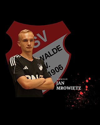 Jan Mrowietz