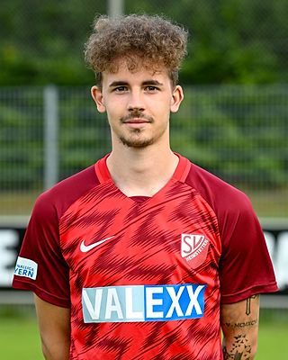 Sascha Hingerl