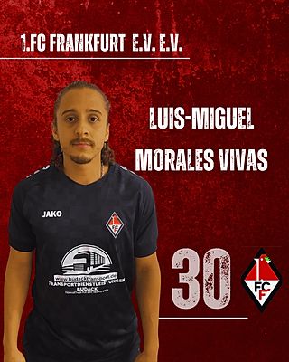 Luis-Miguel Morales Vivas