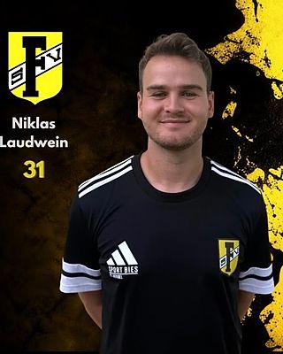 Niklas Laudwein