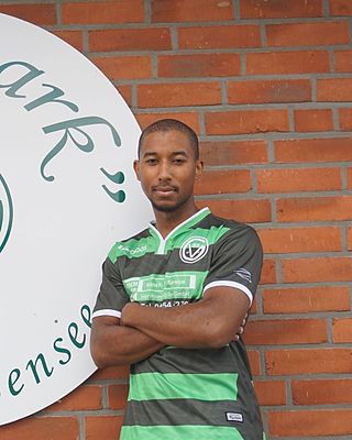 Ettore Joe Meneghini