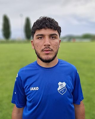 Mohammad Alsaleh