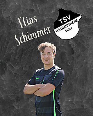 Elias Schimmer