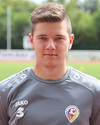 Niklas Schulz