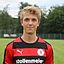 Nico Harz