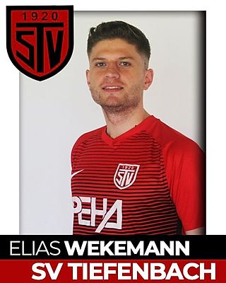 Elias Wekemann