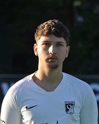 Fabian Giudice