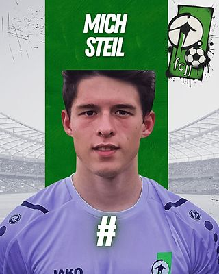 Michel Steil