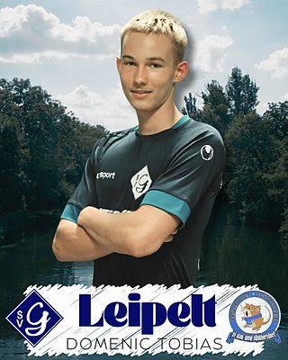 Domenic Tobias Leipelt