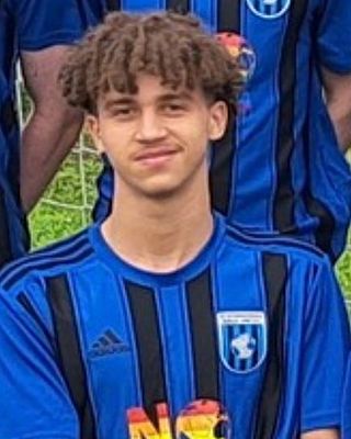 Ziad Mohemad Abdelhafez Salama Hamed