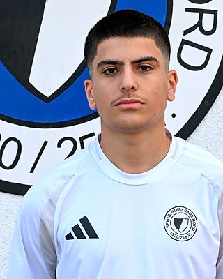 Mahmoud Amine