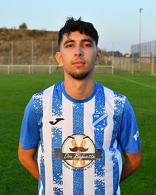 Anas Hauas