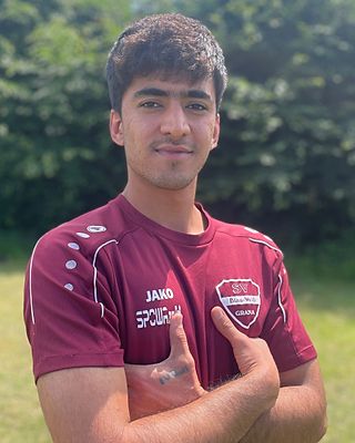 Mohammad Shabir Askaryar