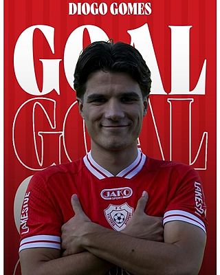 Diogo Gomes Pereira