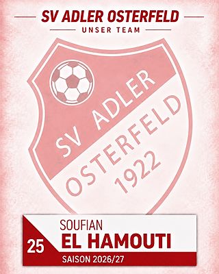 Soufian El Hamouti