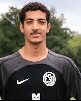 Mahmoud Alrefai
