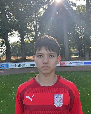 Luca-Michele Wilmering