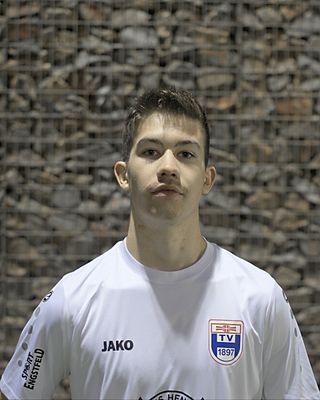 Dustin Mollenhauer