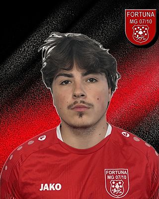 Radu-Gabriel Ilie