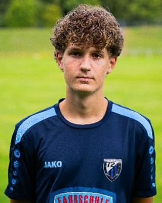 Manuel Feemers