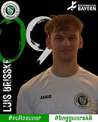 Luis Brisske