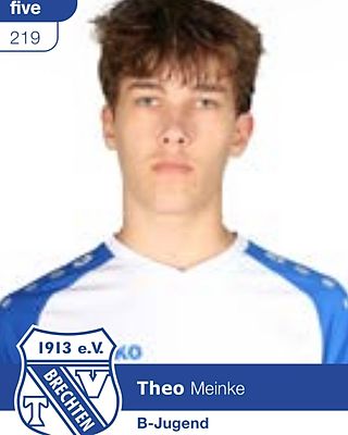 Theo Meinke