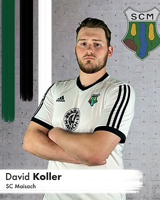 David Koller