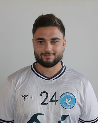 Alexandros Arvanitopoulos