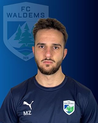 Merdan Zejnelovic