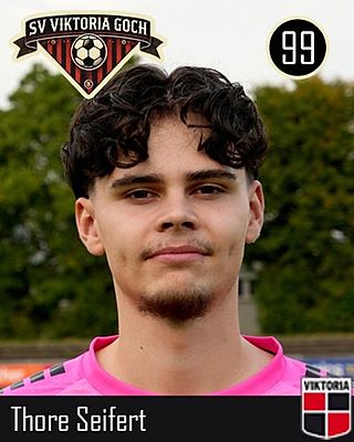 Thore Seifert