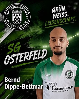 Bernd Dippe-Bettmar