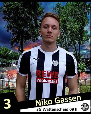 Niko Gassen
