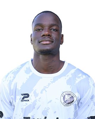 André Nicolas N'Diaye