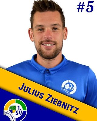 Julius Zießnitz
