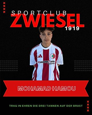 Mohamad Hamou