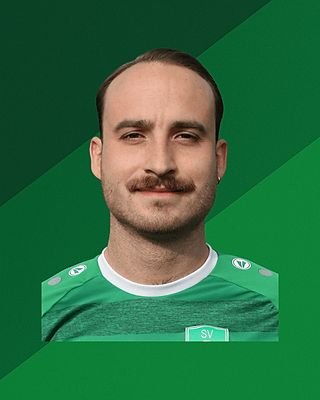 Robin Francisco Mai Figueiredo