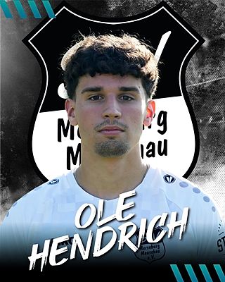 Ole Nico Hendrich