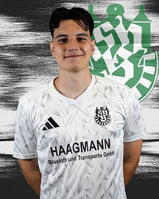 Luca Gastaldo