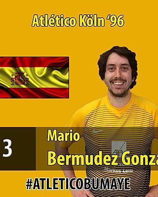 Mario Bermudez Gonzalo