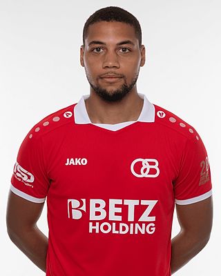 Arnaud Wilfred Bosselmann