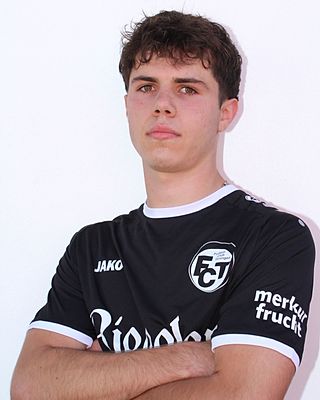 Leo Steinmann