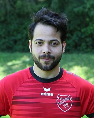 Moustafa Ali Moustafa Mohamed Elsamanoudy