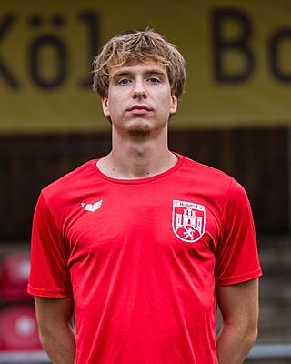 Moritz Hellwig