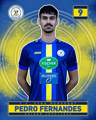 Rui Pedro Fernandes Lopes