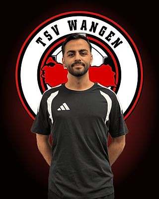 Lütfü Eren Akin